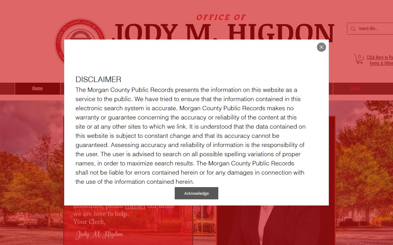 Morgan County Clerk of Superior and Juvenile Court homepage with case search link